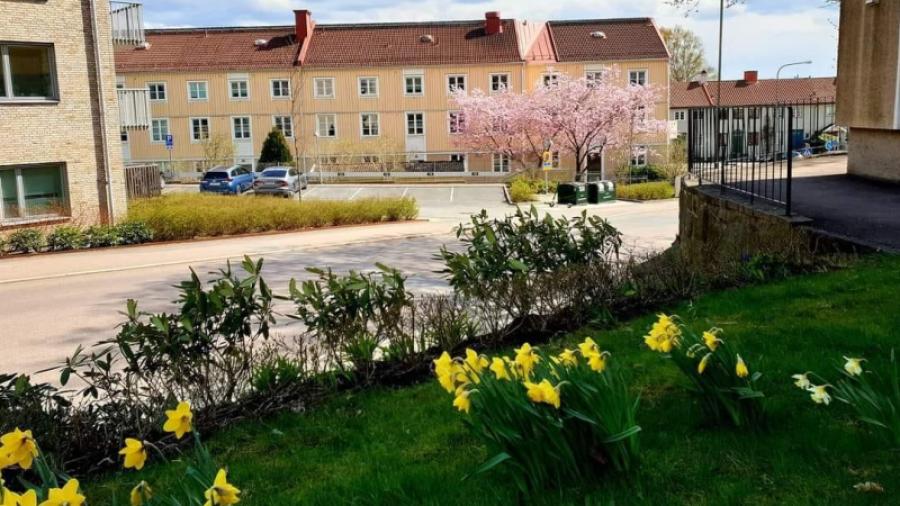 Påsk i rabatten på gaveln